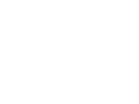 Bravexis logo